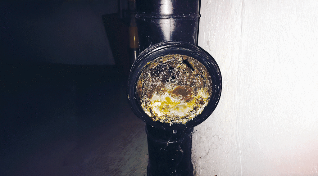 Prevenire è meglio: fori aperti – meno spese:
Controllo preventivo gratuito tubature

