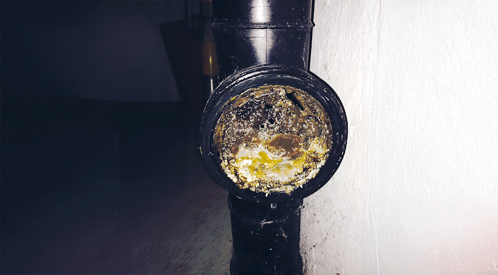 Prevenire è meglio: fori aperti – meno spese:
Controllo preventivo gratuito tubature

