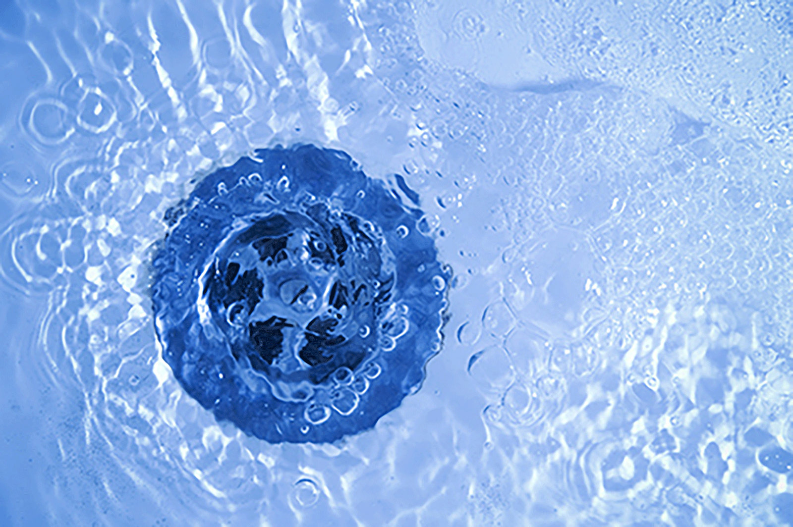 Se suona il telefono a casa vostra, magari c'è RohrMax dall'altra parte del filo. 
